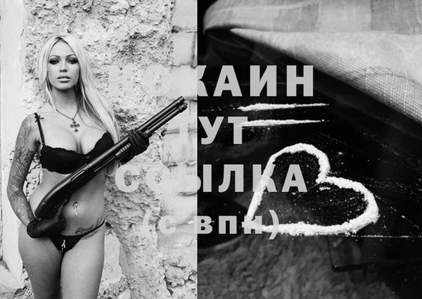 дурь Алексин