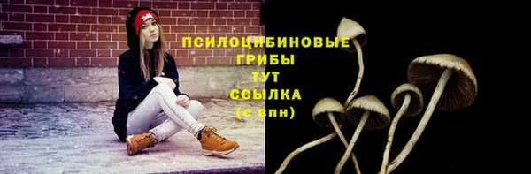 apvp Абдулино