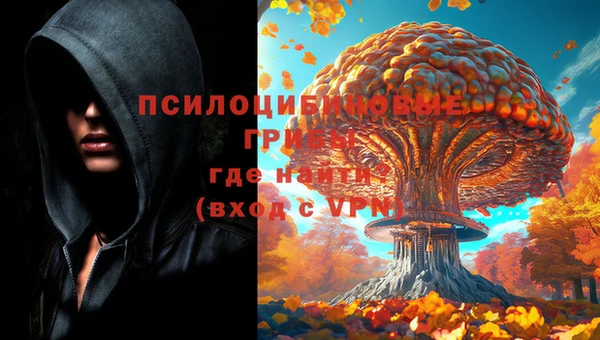mix Абаза