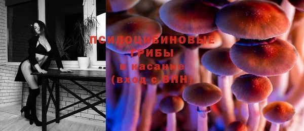 apvp Абдулино