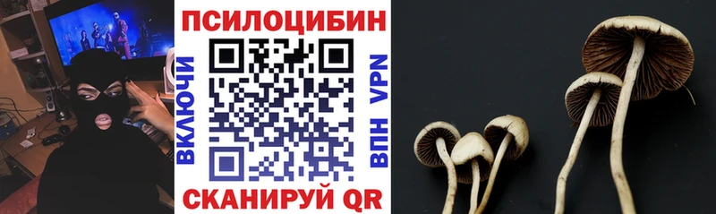магазин  наркотиков  Серафимович  Псилоцибиновые грибы Magic Shrooms 